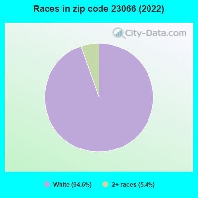 Races in zip code 23066 (2022)