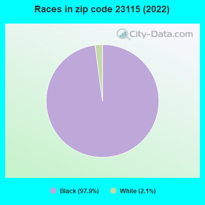 Races in zip code 23115 (2022)