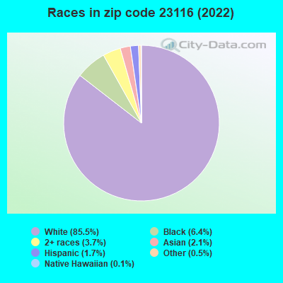 Races in zip code 23116 (2019)