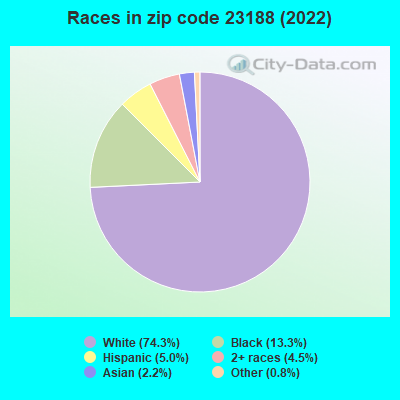Races in zip code 23188 (2019)