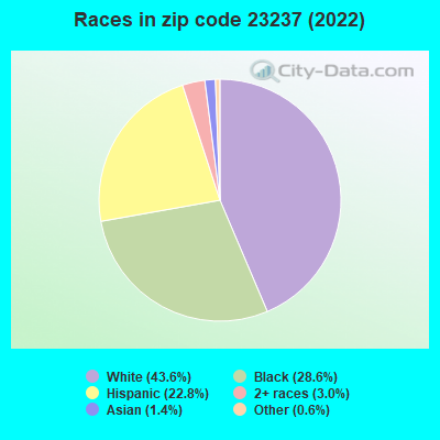 Races in zip code 23237 (2022)