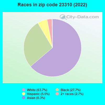 Races in zip code 23310 (2019)