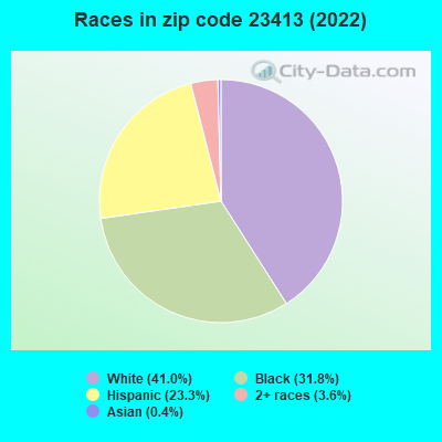 Races in zip code 23413 (2019)