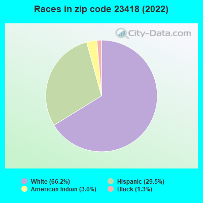 Races in zip code 23418 (2022)