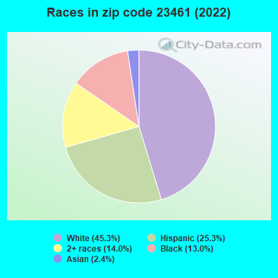 Races in zip code 23461 (2022)