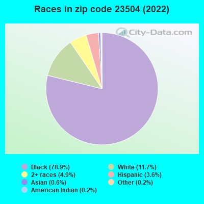 Races in zip code 23504 (2019)