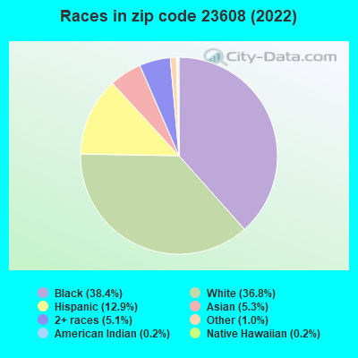 Races in zip code 23608 (2019)