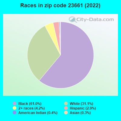 Races in zip code 23661 (2019)