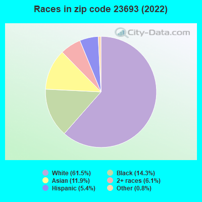 Races in zip code 23693 (2019)