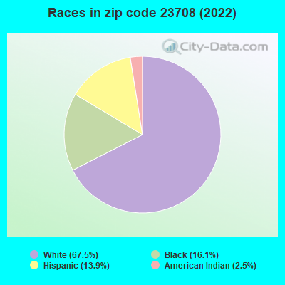 Races in zip code 23708 (2022)