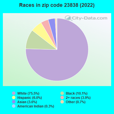 Races in zip code 23838 (2019)