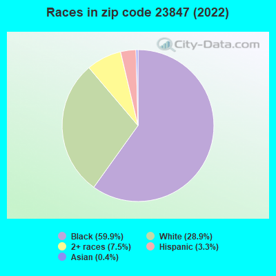 Races in zip code 23847 (2019)