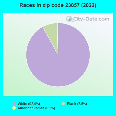 Races in zip code 23857 (2019)