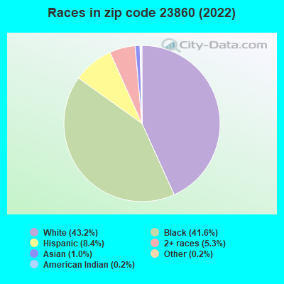 Races in zip code 23860 (2019)