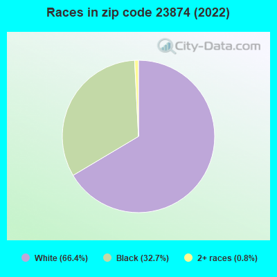 Races in zip code 23874 (2019)