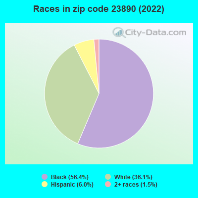 Races in zip code 23890 (2019)