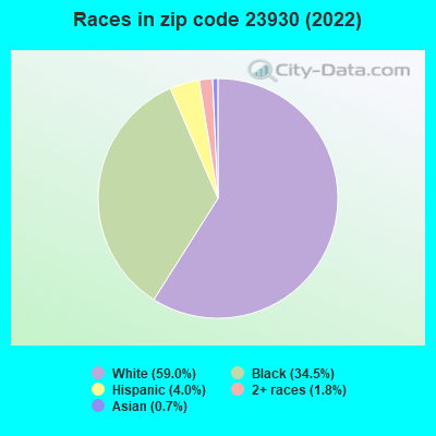 Races in zip code 23930 (2019)