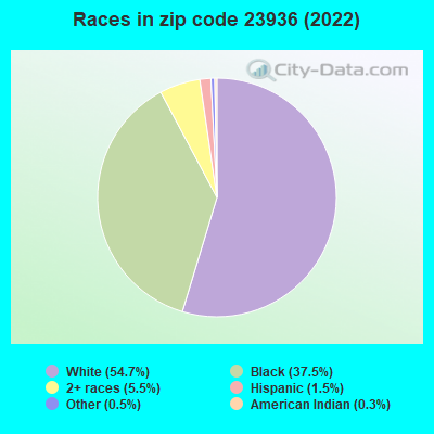 Races in zip code 23936 (2019)