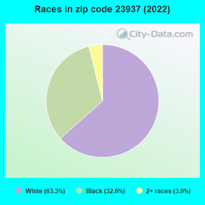 Races in zip code 23937 (2022)