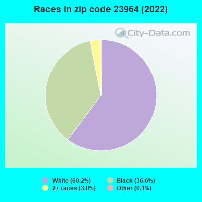 Races in zip code 23964 (2022)