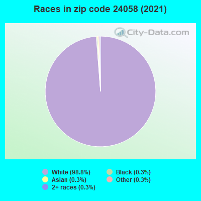 Races in zip code 24058 (2019)