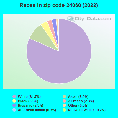Races in zip code 24060 (2022)