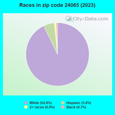 Races in zip code 24065 (2019)