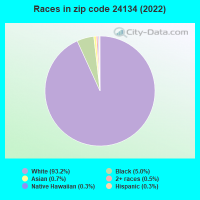 Races in zip code 24134 (2019)
