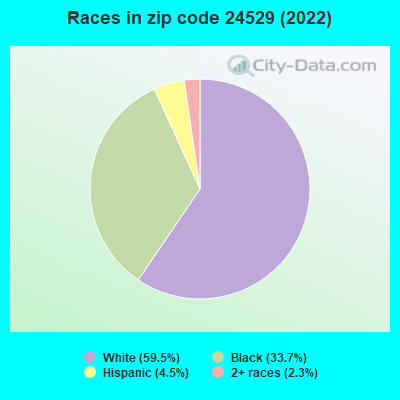 Races in zip code 24529 (2022)