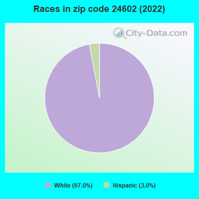 Races in zip code 24602 (2022)