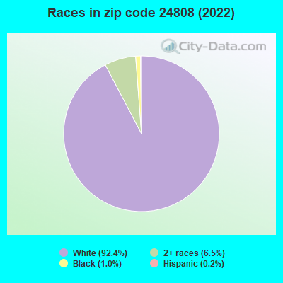 Races in zip code 24808 (2022)