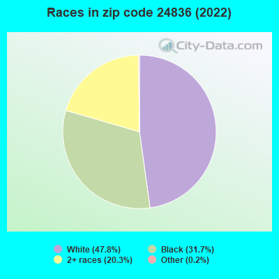 Races in zip code 24836 (2019)