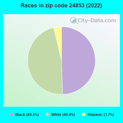 Races in zip code 24853 (2022)