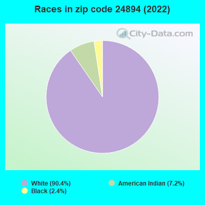 Races in zip code 24894 (2022)