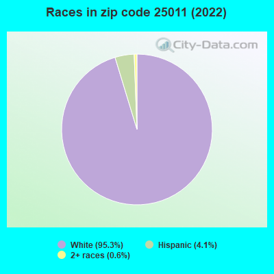 Races in zip code 25011 (2019)