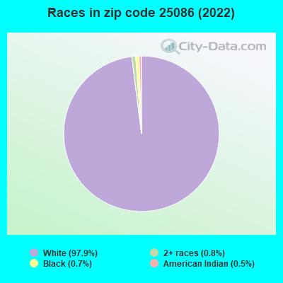 Races in zip code 25086 (2022)