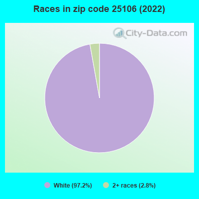 Races in zip code 25106 (2022)