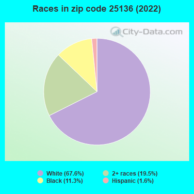 Races in zip code 25136 (2019)