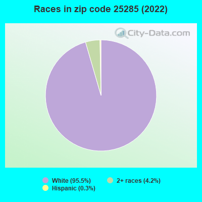 Races in zip code 25285 (2022)