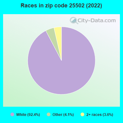 Races in zip code 25502 (2022)