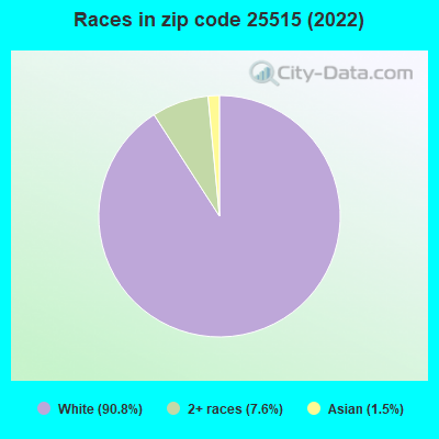 Races in zip code 25515 (2022)