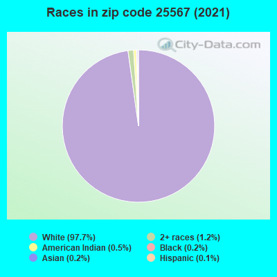 Races in zip code 25567 (2019)