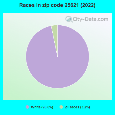 Races in zip code 25621 (2022)