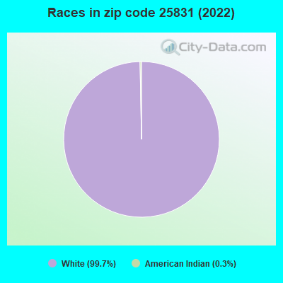 Races in zip code 25831 (2019)