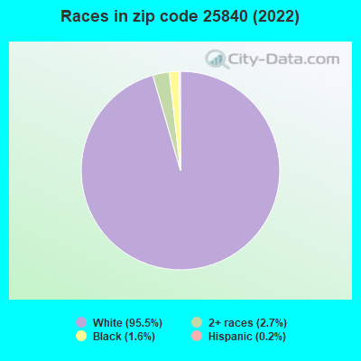 Races in zip code 25840 (2019)