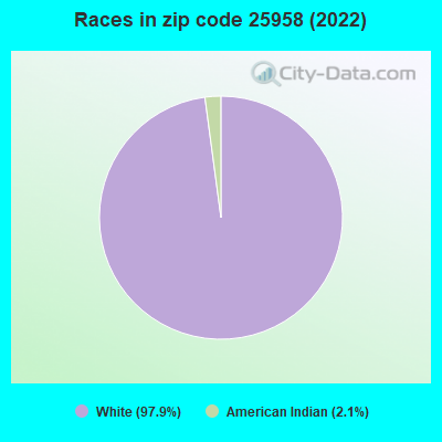 Races in zip code 25958 (2019)