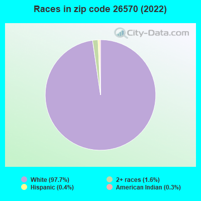 Races in zip code 26570 (2022)