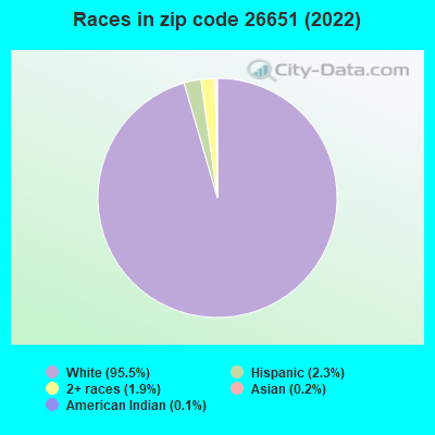 Races in zip code 26651 (2019)