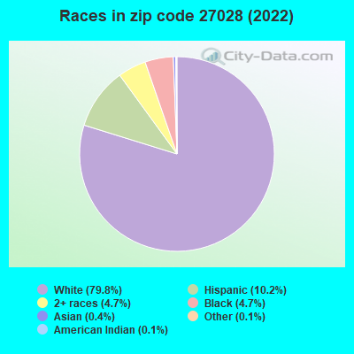Races in zip code 27028 (2022)