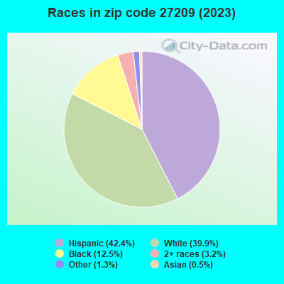 Races in zip code 27209 (2019)